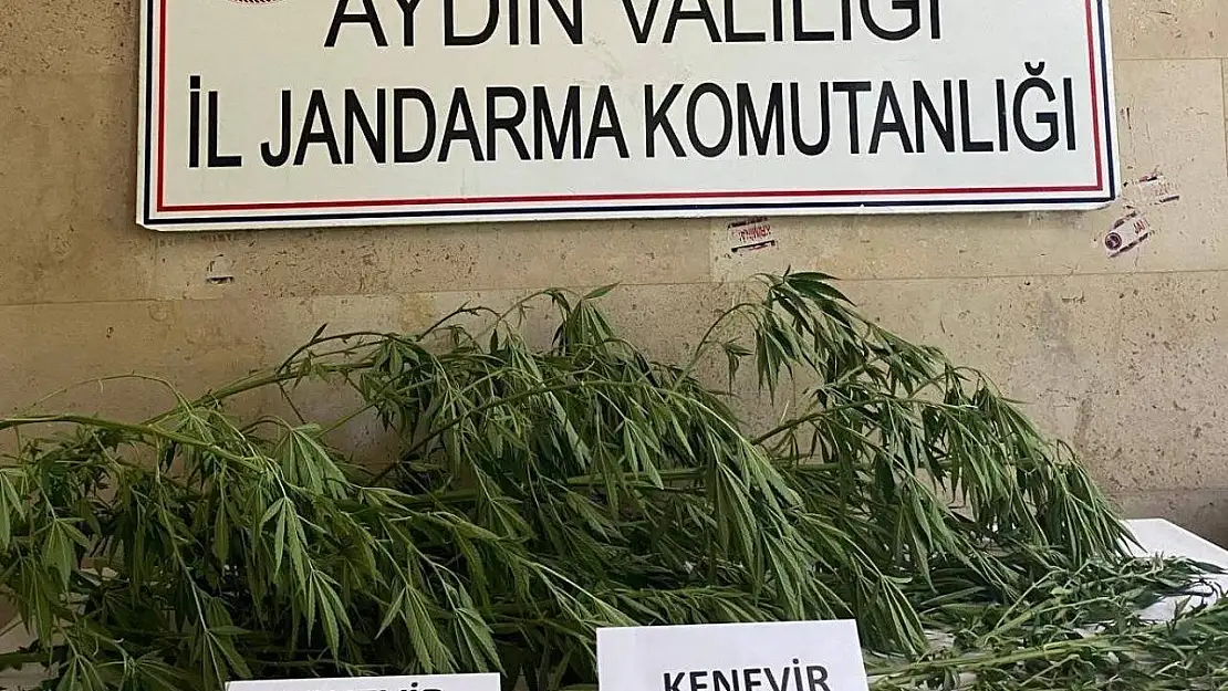 Aydın'da jandarma ekipleri uyuşturucuya geçit vermiyor