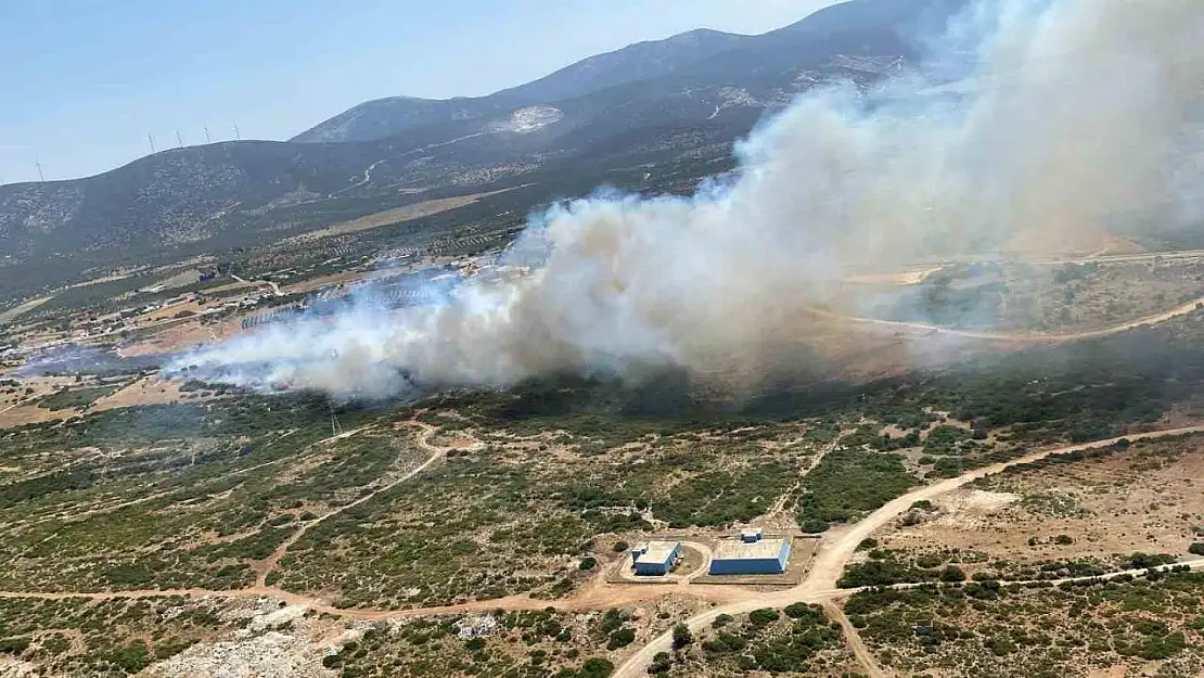 Aydın'da son 48 saatte 93 yangın çıktı, ateş savaşçıları zamanla yarıştı