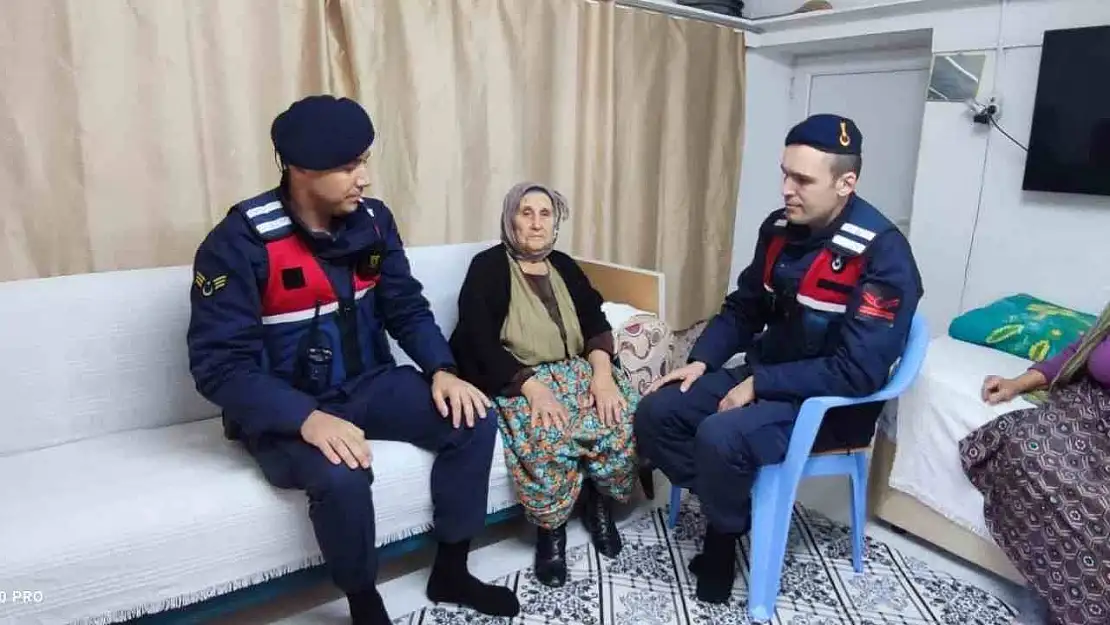 Aydın'da yaşlı çınarlar unutulmuyor