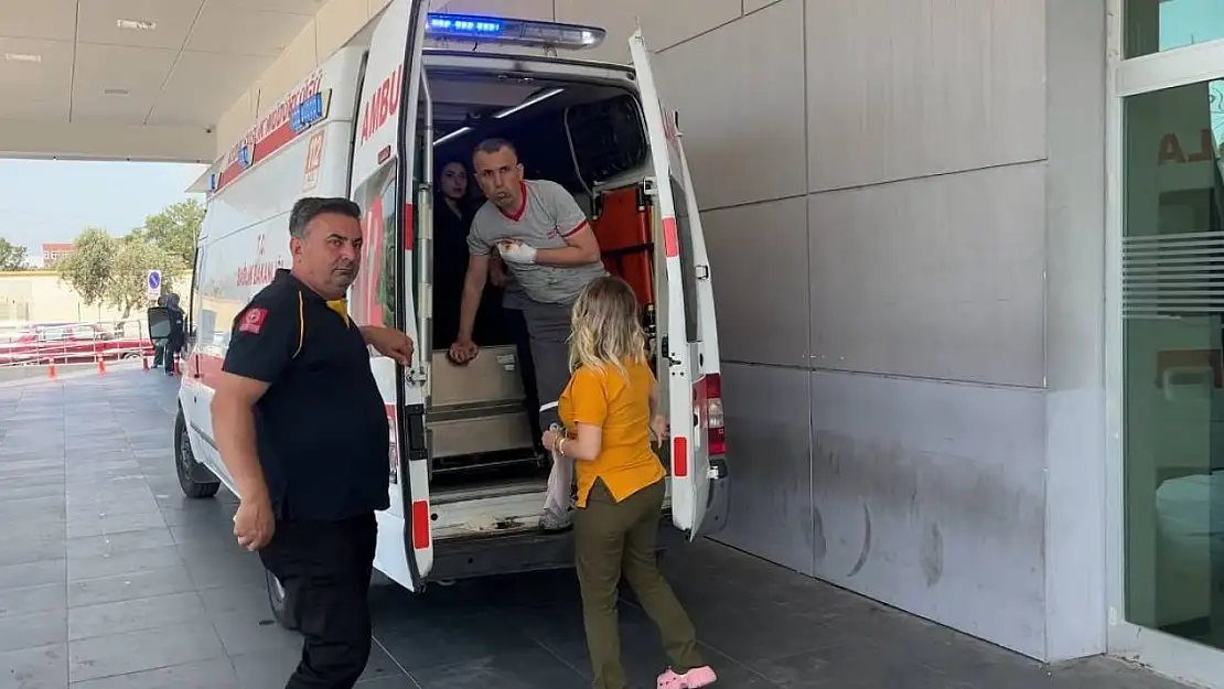 Aydın'ın acemi kasap bilançosu belli oldu