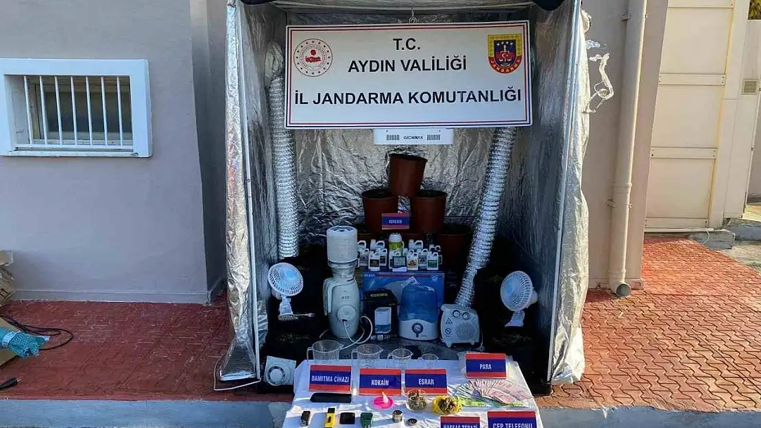 Aydın jandarmasından uyuşturucu operasyonu: 31 gözaltı