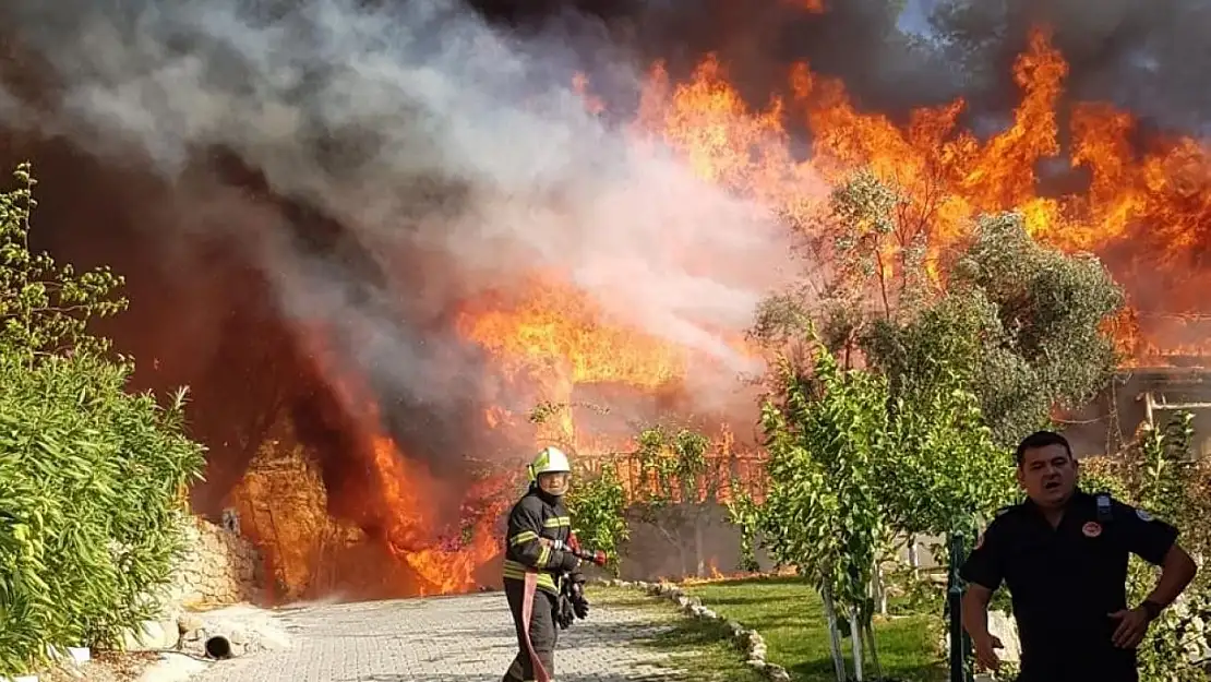 Aydın ve Muğla'da 819 hektar alan yandı