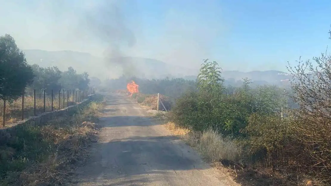 Ayvacık'ta orman yangını