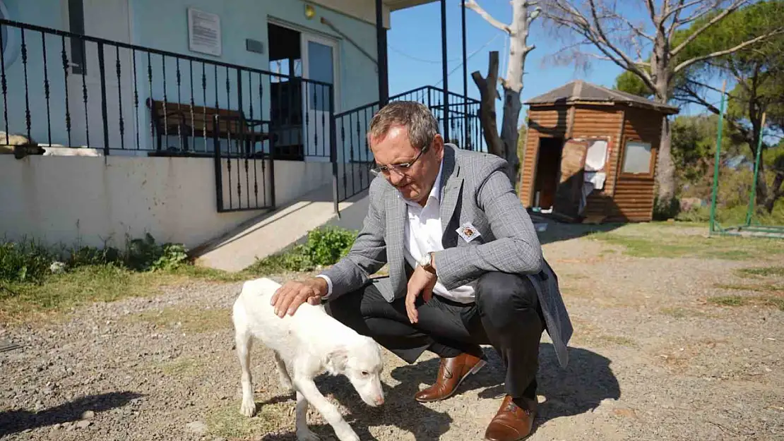 Ayvalık Belediye Başkanı Mesut Ergin, 'Yasalar öldürmek değil yaşatmak için çıkarılır'