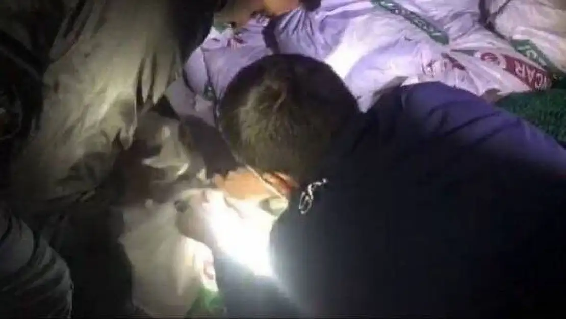 Ayvalık'ta  'Denize Nefes' operasyonunda rekor sayıda deniz patlıcanı ele geçirildi