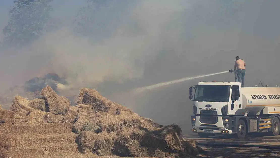 Ayvalık'ta çöp döküm alanında çıkan yangın otluk ve zeytinlik alana sıçradı