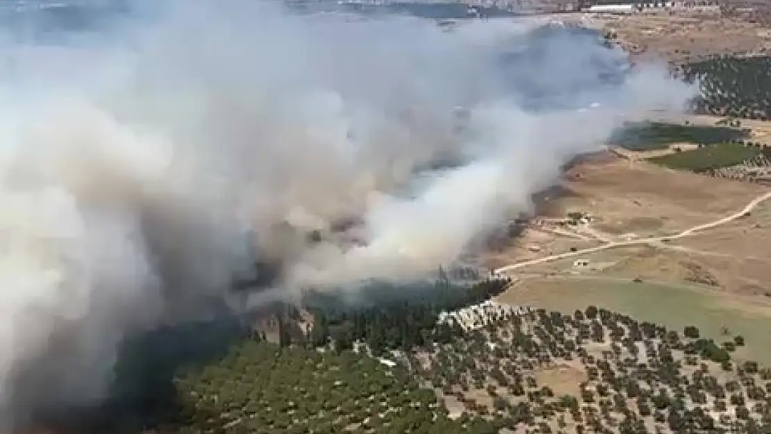 Ayvalık'ta çöplükte çıkan yangın otluk araziye sıçradı