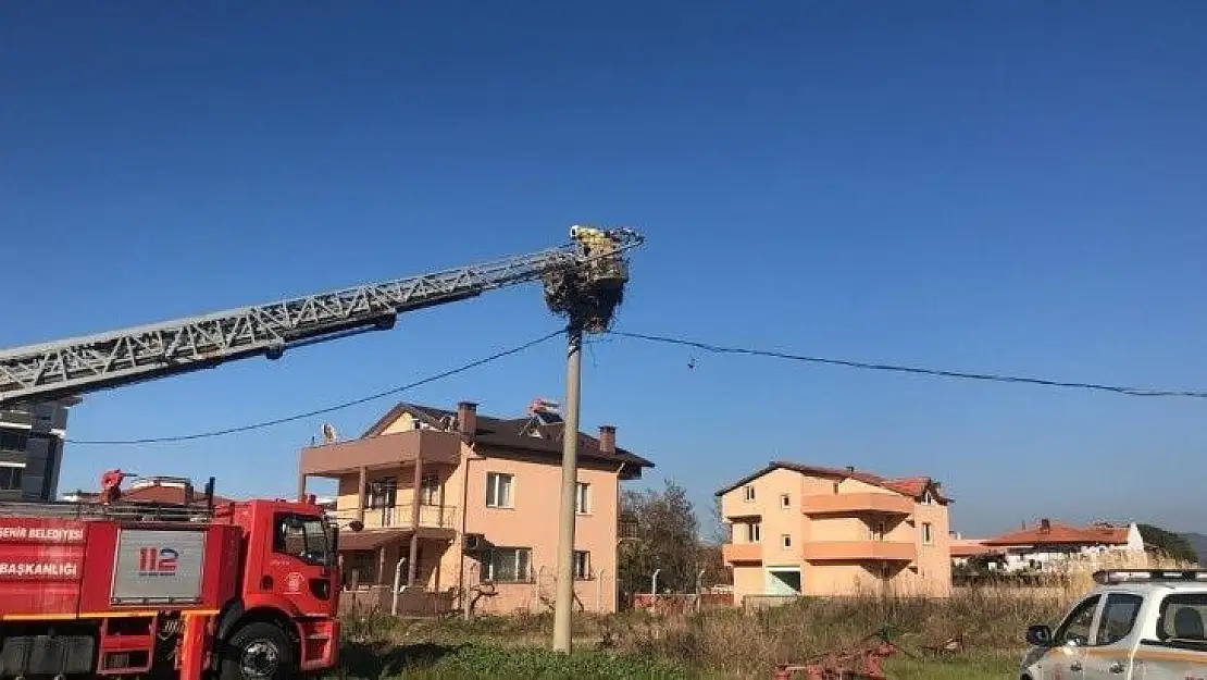 Ayvalık'ta göçmen kuşlara itfaiye ve Milli Parklar şefkati