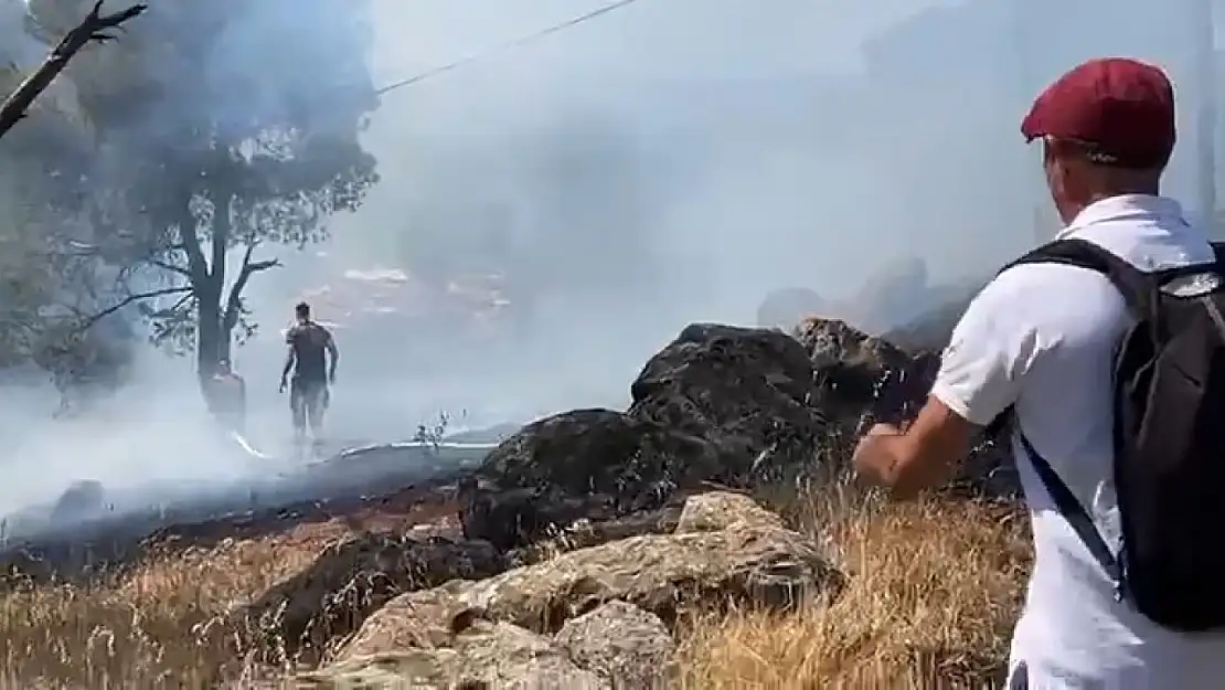 Ayvalık'ta orman yangını