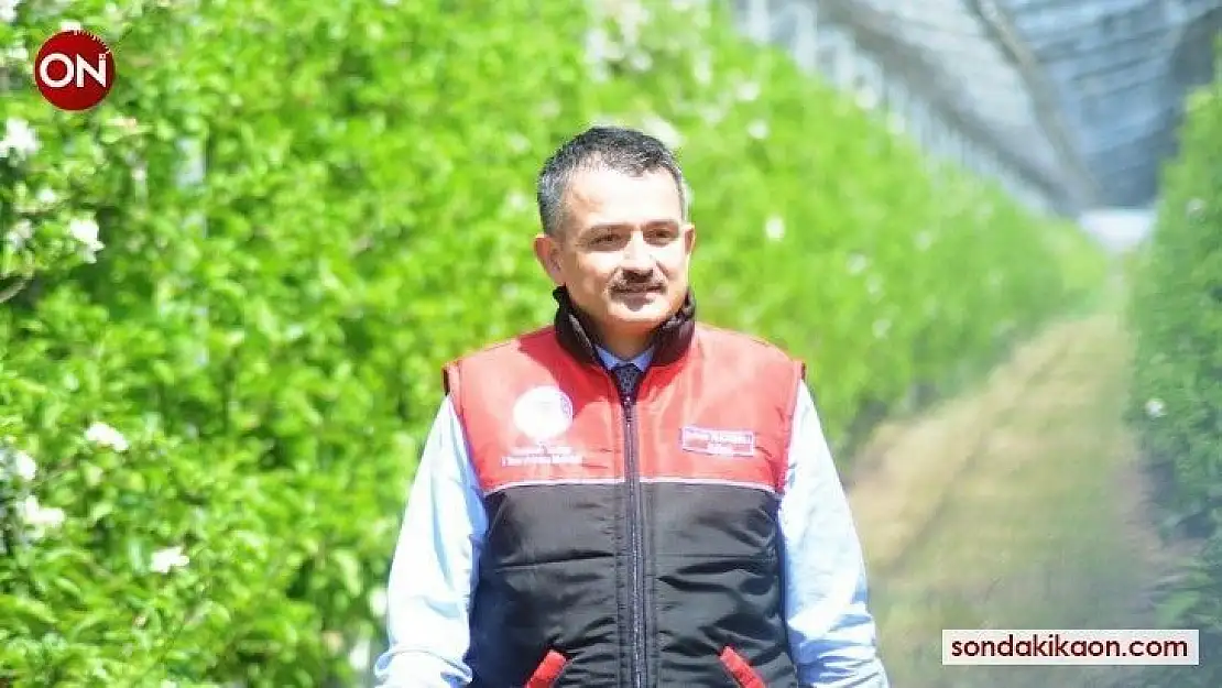 Bakan Pakdemirli'den çiftçiye bayram müjdesi