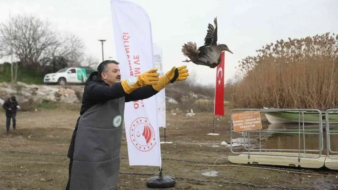 Bakan Pakdemirli göle ördek saldı