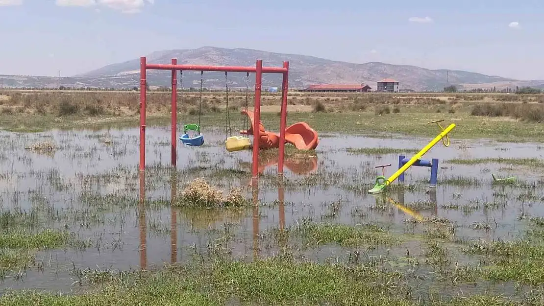 Bakımsız kalan kanallar merayı bataklığa çevirdi