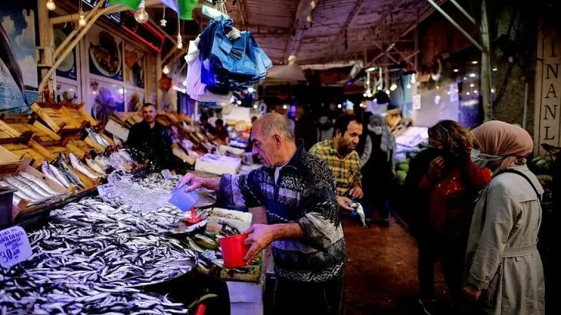 Balık bereketi yaşanıyor