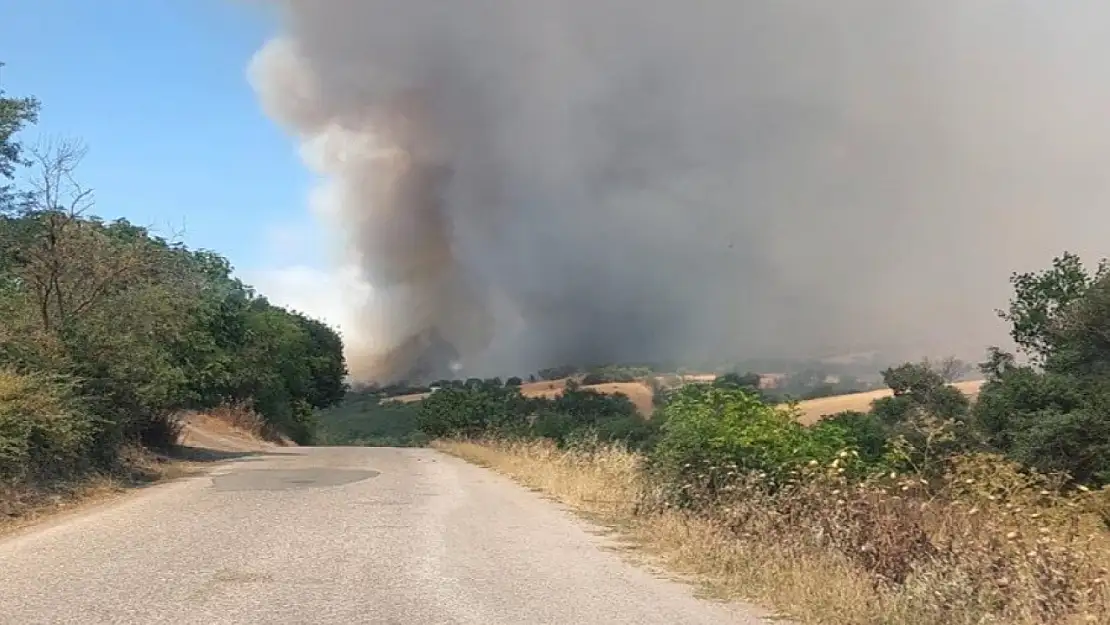 Balıkesir Bigadiç'te arazi yangını