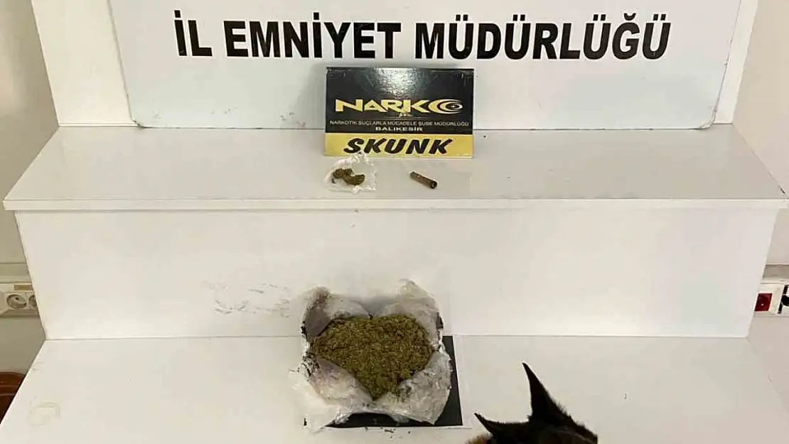 Balıkesir'de 485 gram esrar ele geçirildi