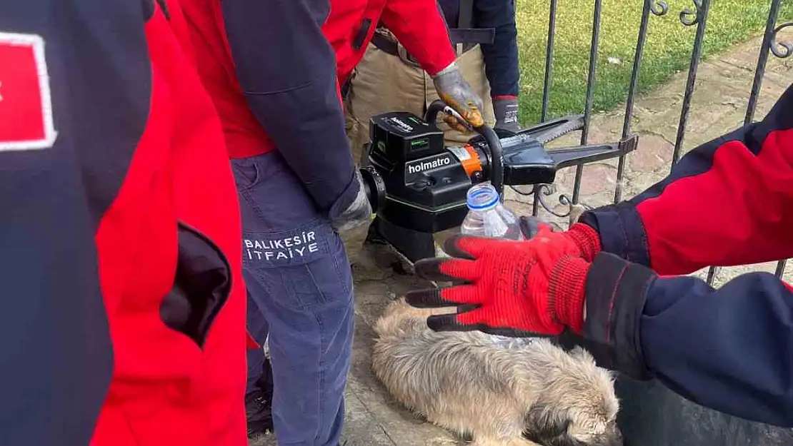 Balıkesir'de bahçe kapısına sıkışan köpek kurtarıldı