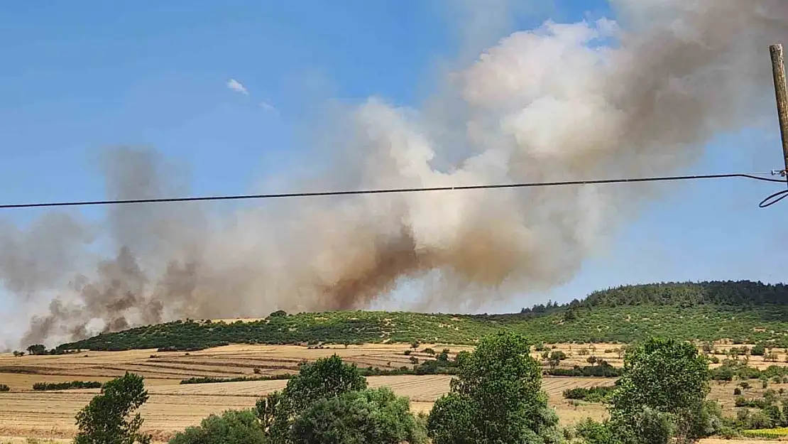 Balıkesir'de makilik alandaki yangın ormana sıçradı