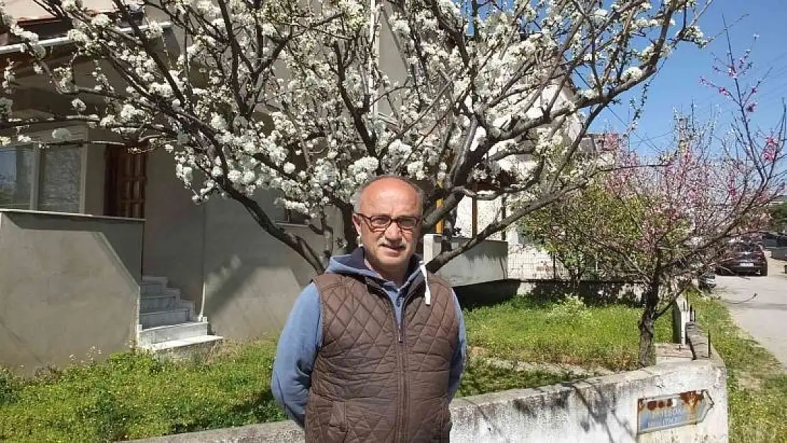 Balıkesir'de meyve ağaçları rengarenk çiçek açtı