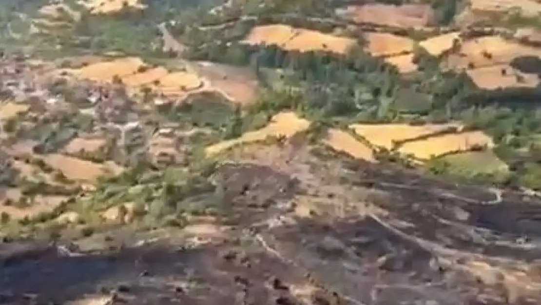 Balıkesir'de orman yangını kontrol altına alındı