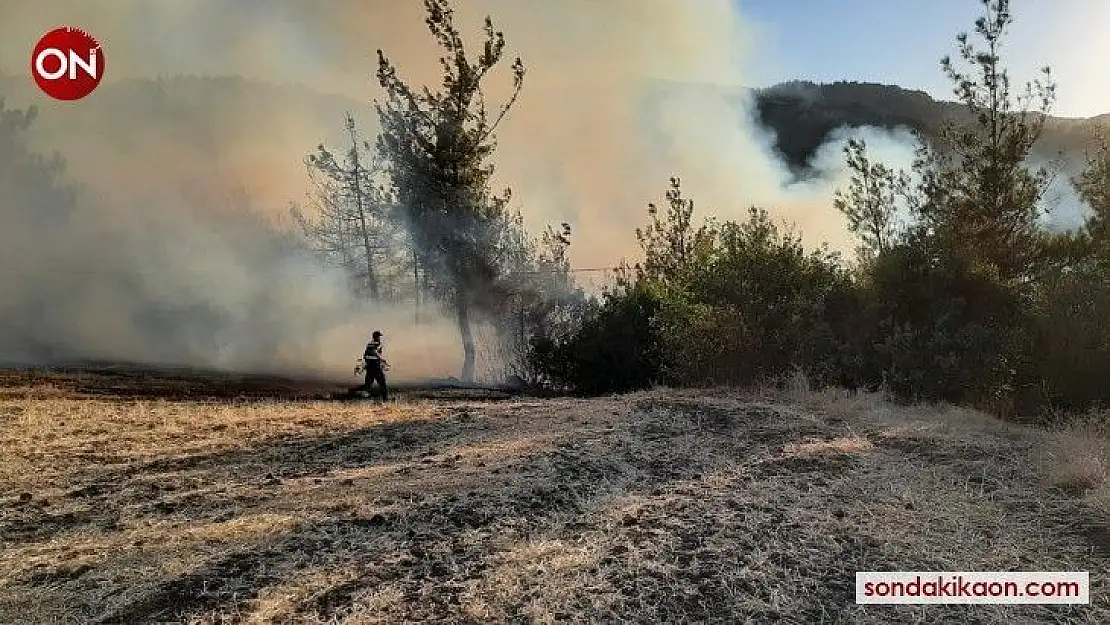 Balıkesir'de orman yangını
