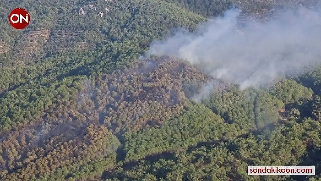 Balıkesir'de orman yangını