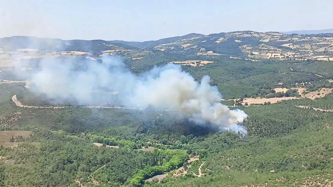 Balıkesir'de orman yangını