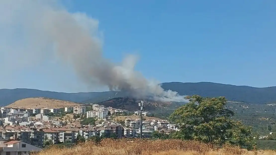 Balıkesir'de orman yangını