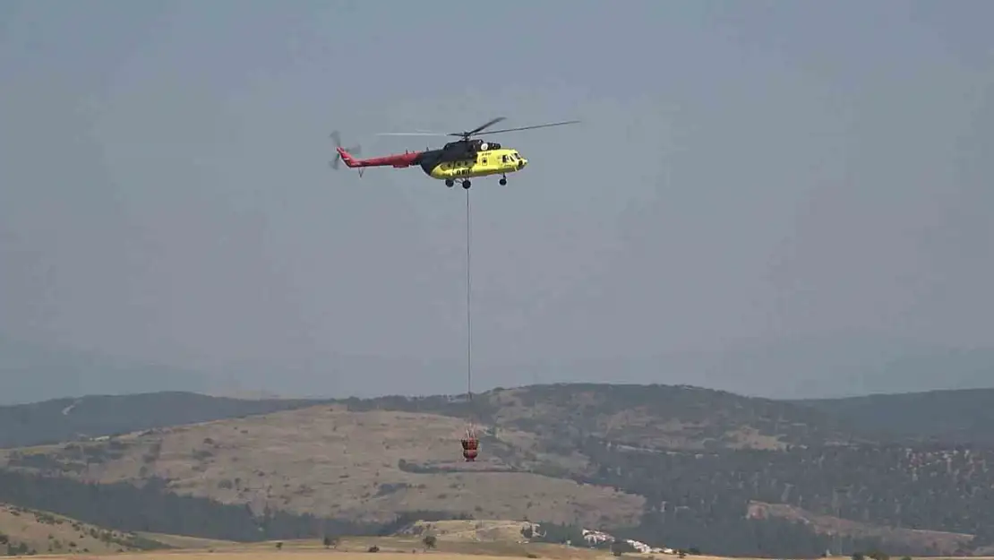 Balıkesir'de orman yangını