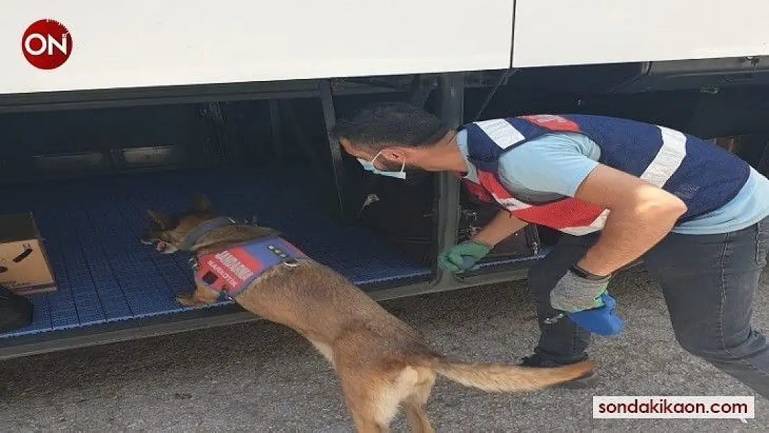 Balıkesir'de polis son bir haftada 81 uyuşturucu şüphelisini yakaladı