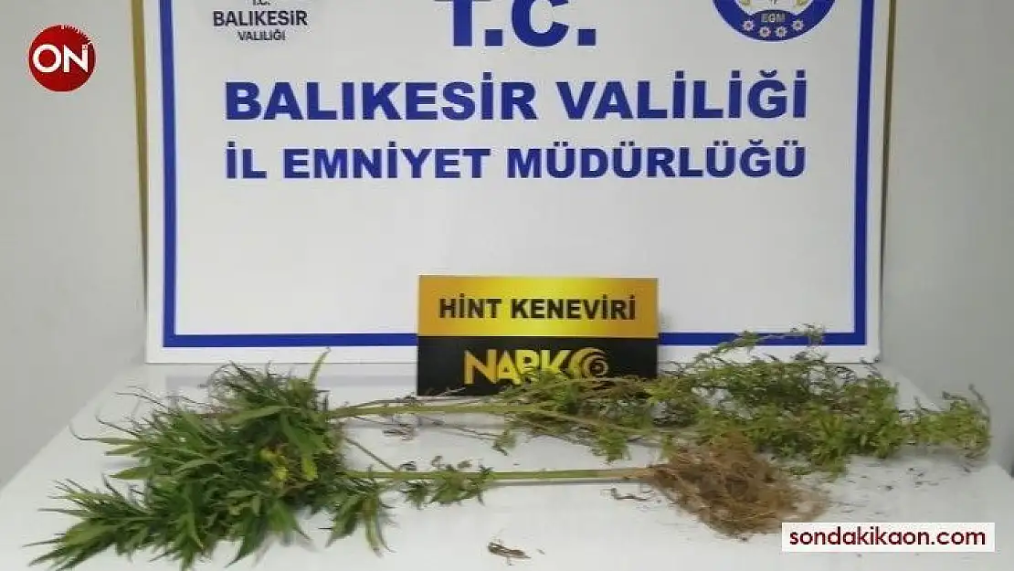 Balıkesir'de polisten 31 şahsa gözaltı