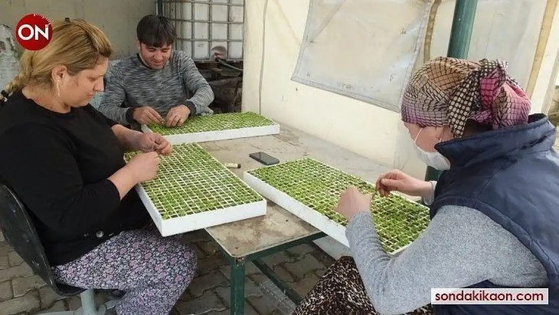 Balıkesir'de sokağa çıkma sınırlaması üretime engel değil