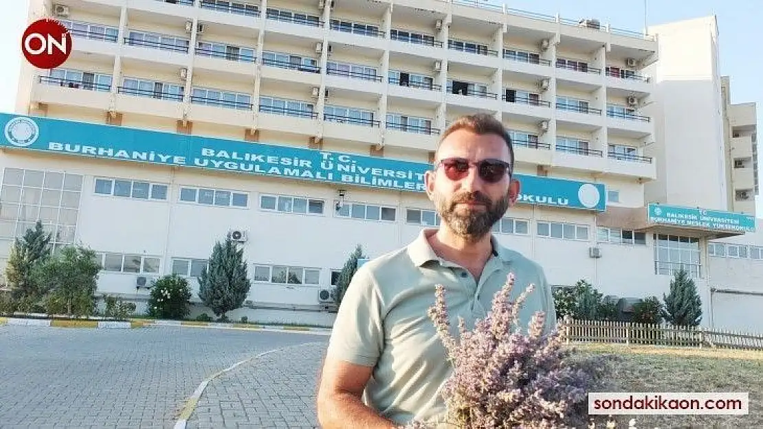Balıkesir'de Üniversiteli gençler okullarında lavanta hasadı yaptı.