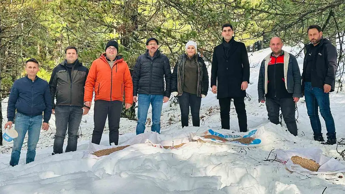 Balıkesir'de yaban hayvanları unutulmadı