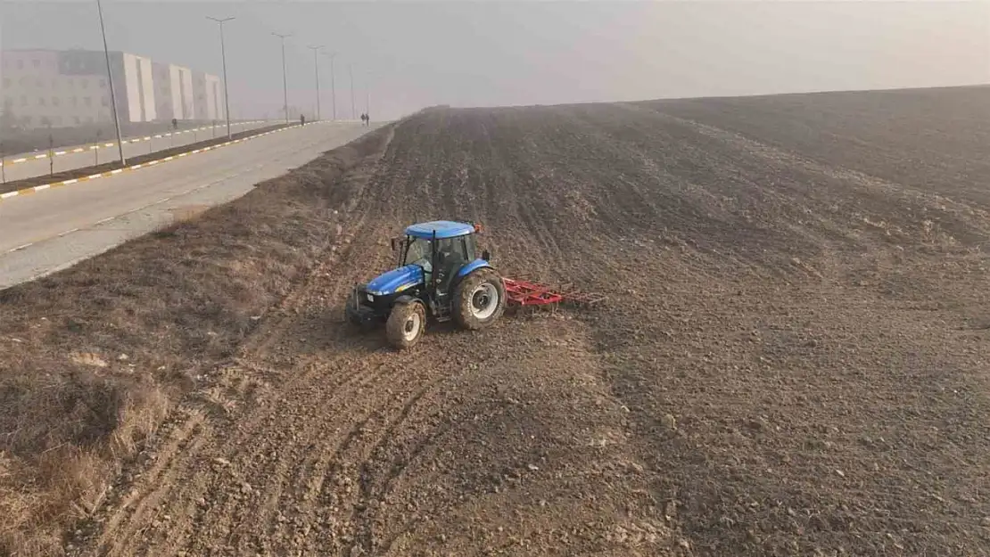 Balıkesir'de yem maliyetlerini düşürecek hamle