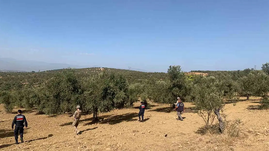 Balıkesir'de zeytinliklere jandarma koruması