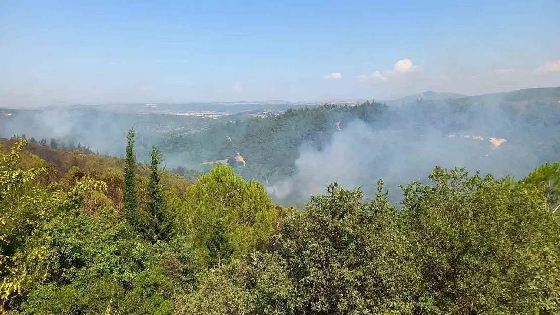 Balıkesir'deki orman yangınlarına müdahale sürüyor