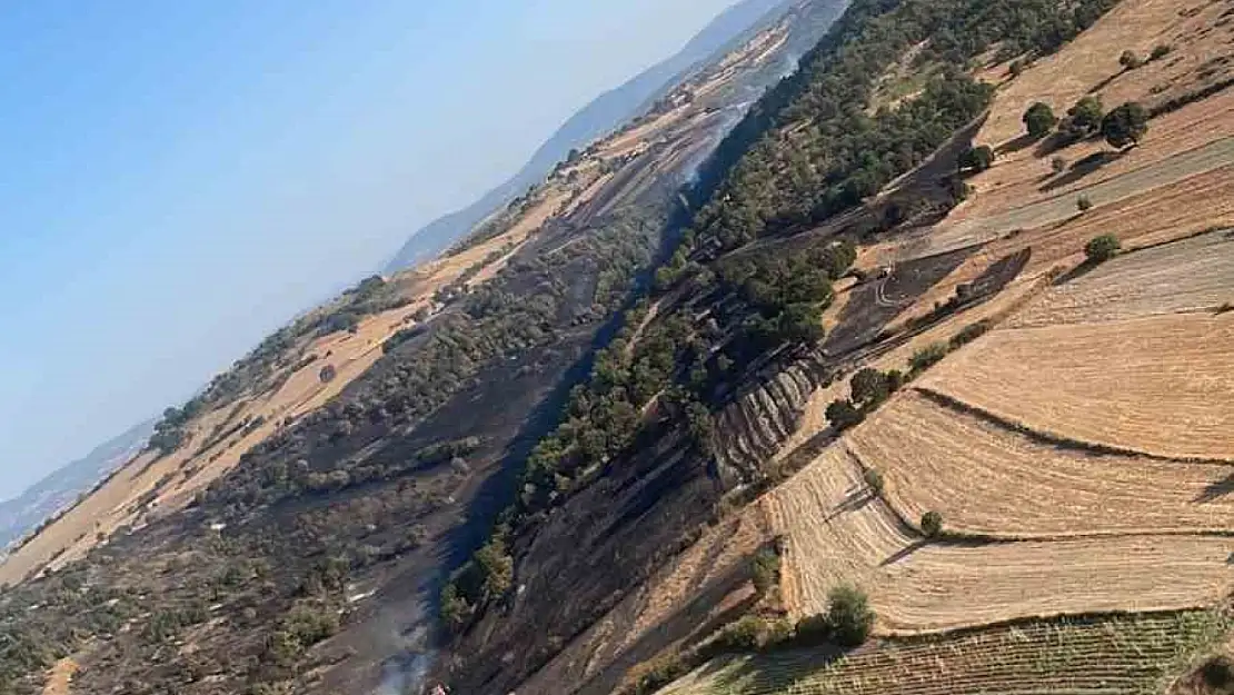 Balıkesir'deki yangın kontrol altında
