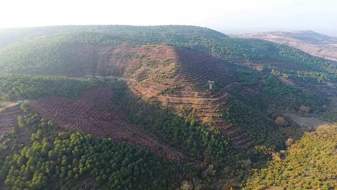 Balıkesir'e 261 dekarlık yeni bal ormanı