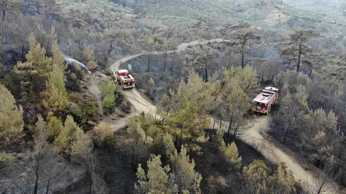 Balıkesir Havran'daki yangında havadan müdahale sabahın ilk ışıklarıyla tekrar başladı