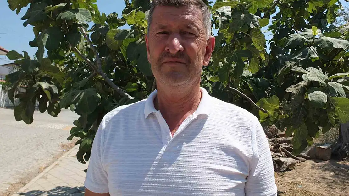 Balıkesirli çiftçi oturduğu caddeyi meyve ağaçlarıyla yeşillendirdi
