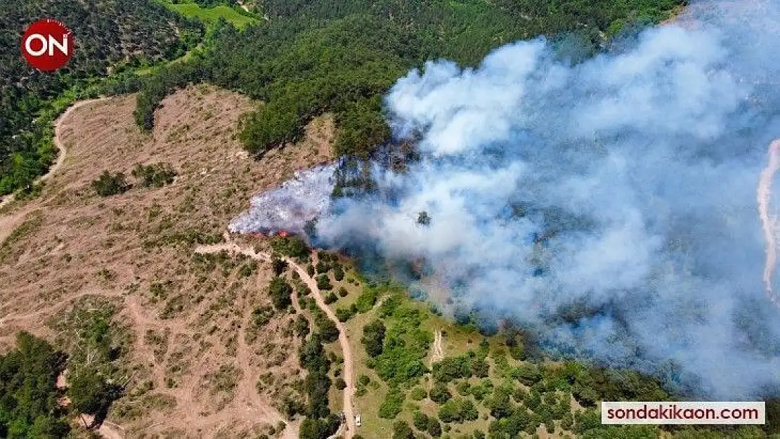 Balya'da orman yangını