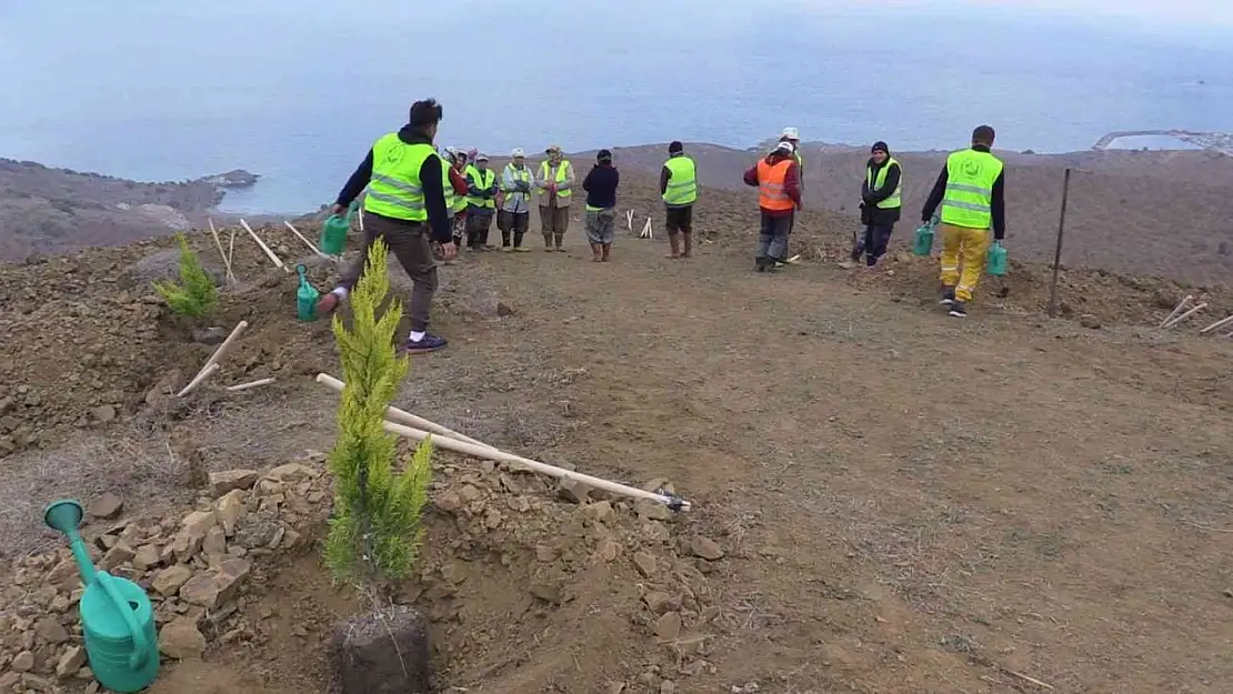 Bandırma'da 15 bin fidan dikildi