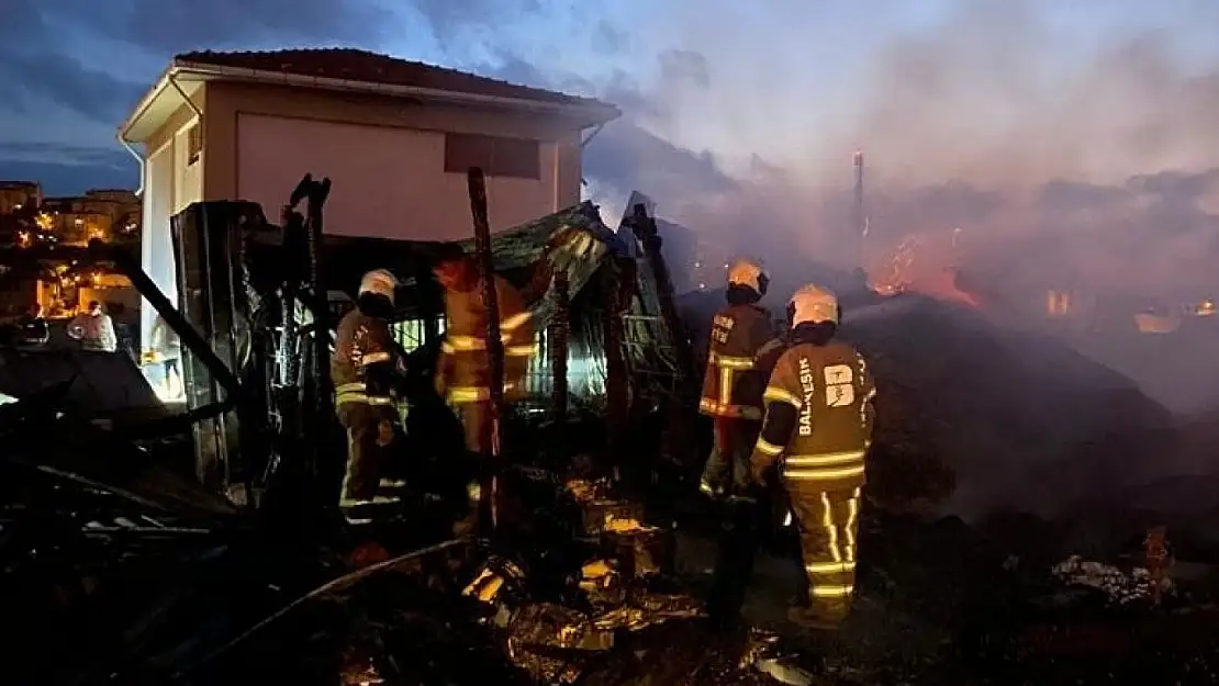 Bandırma'da ahırda çıkan yangında 4 hayvan telef oldu