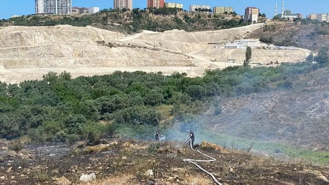 Bandırma'da çıkan yangında 4 dönüm arazi küle döndü
