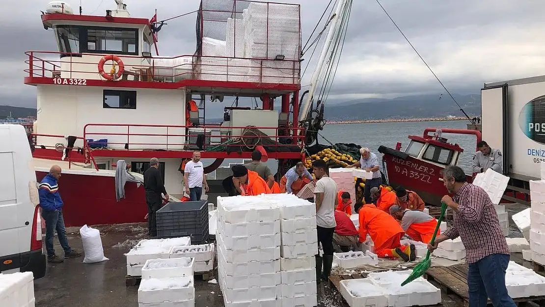 Bandırma'da palamut akını devam ediyor