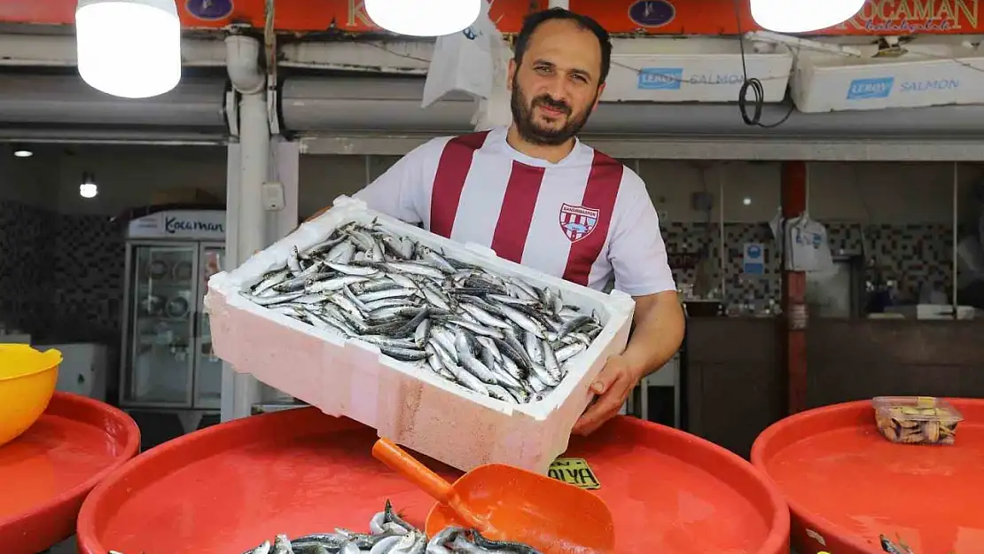 Bandırma'da sardalya bolluğu yaşanıyor