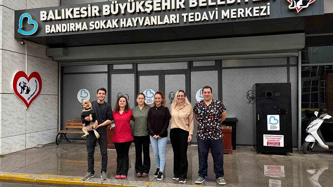 Bandırma Sokak Hayvanları Tedavi Merkezi 13 bin 459 hayvana şifa dağıttı