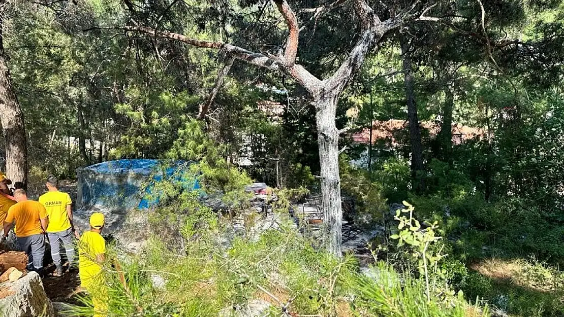 Barakadaki yangın ormana sıçramadan söndürüldü