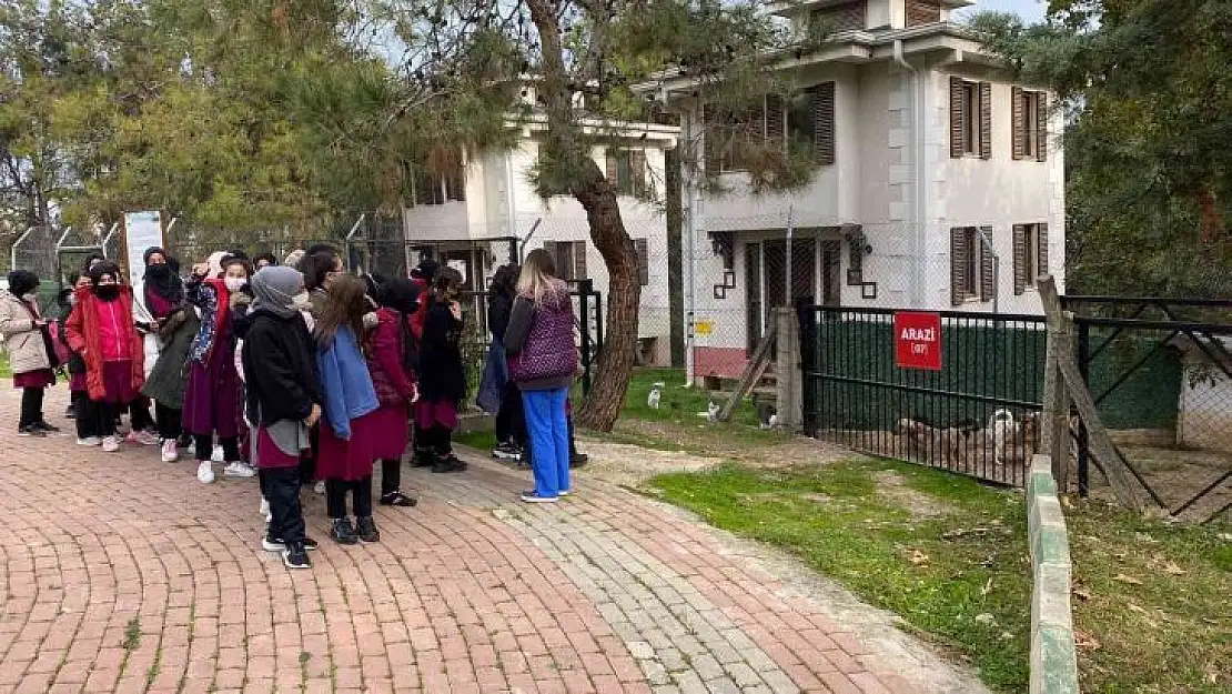 Barınağa hayvansever akını