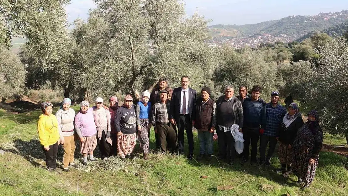 Başkan Arıcı zeytin hasadında üreticiler ve işçiler ile bir araya geldi